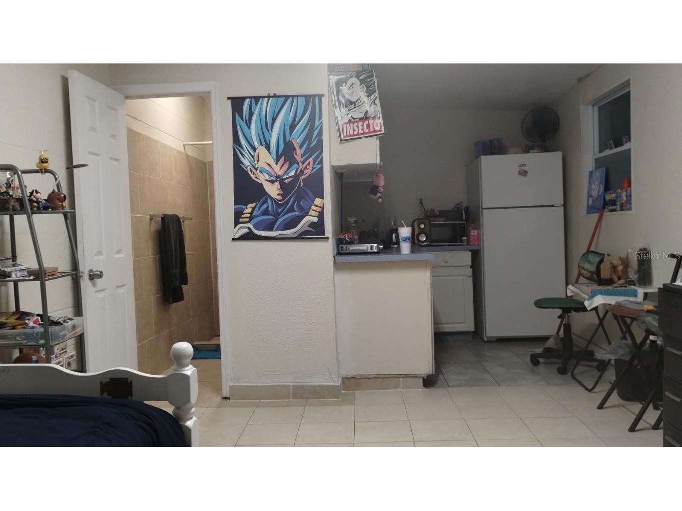 2813 N Taliaferro Avenue Tampa FL 33602 A4666501 image12