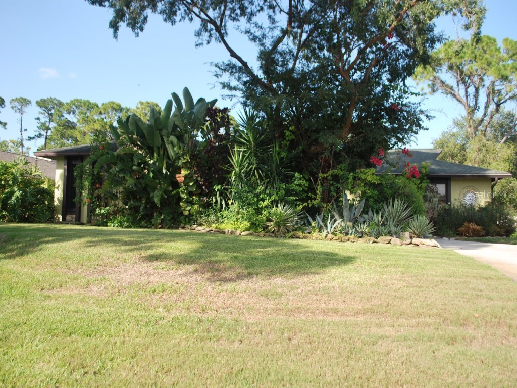 2813 Sabal Palm Drive Edgewater FL 32141 NS1085349 image3