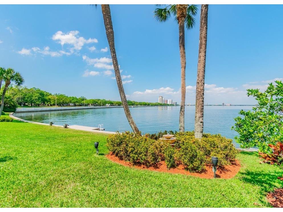 2813 W Hawthorne Road #2813 Tampa FL 33611 TB8430788 image25