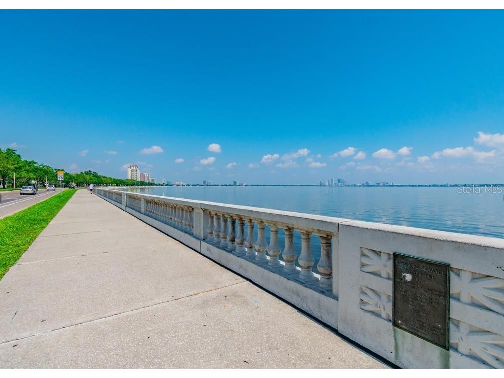 2813 W Hawthorne Road #2813 Tampa FL 33611 TB8430788 image29