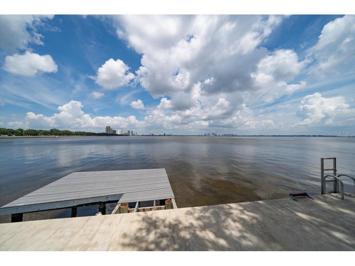 2813 W Hawthorne Road #2813 Tampa FL 33611 TB8430788 image33