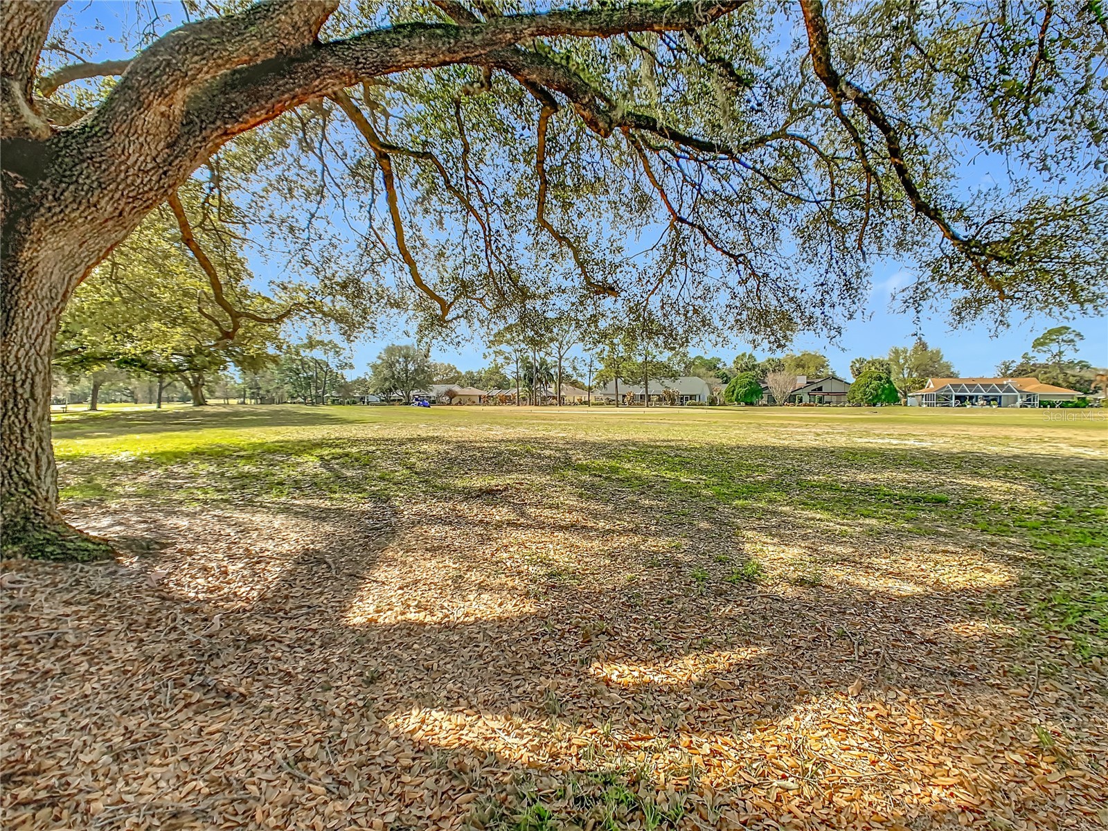 2813 Wingfoot Ct Winter Haven FL 33884 L4959887 image41