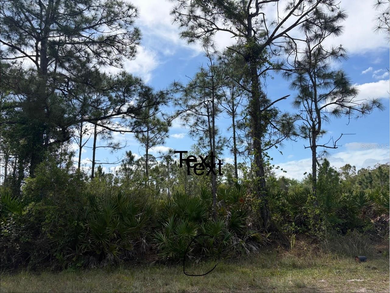 28131 Ramiro Drive Punta Gorda FL 33955 C7524872 image1