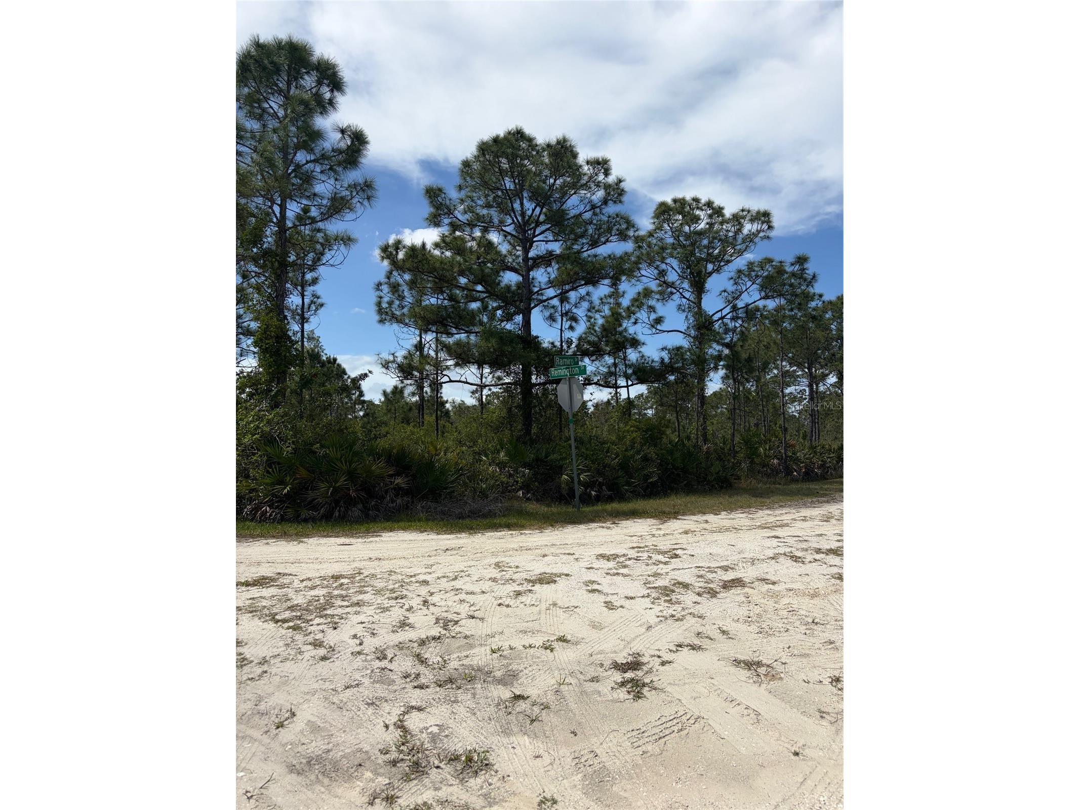 28131 Ramiro Drive Punta Gorda FL 33955 C7524872 image2