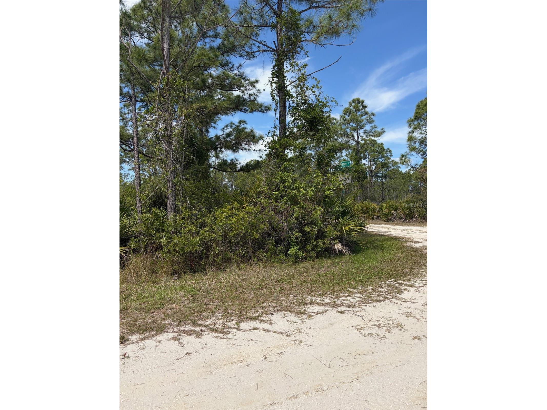 28131 Ramiro Drive Punta Gorda FL 33955 C7524872 image3