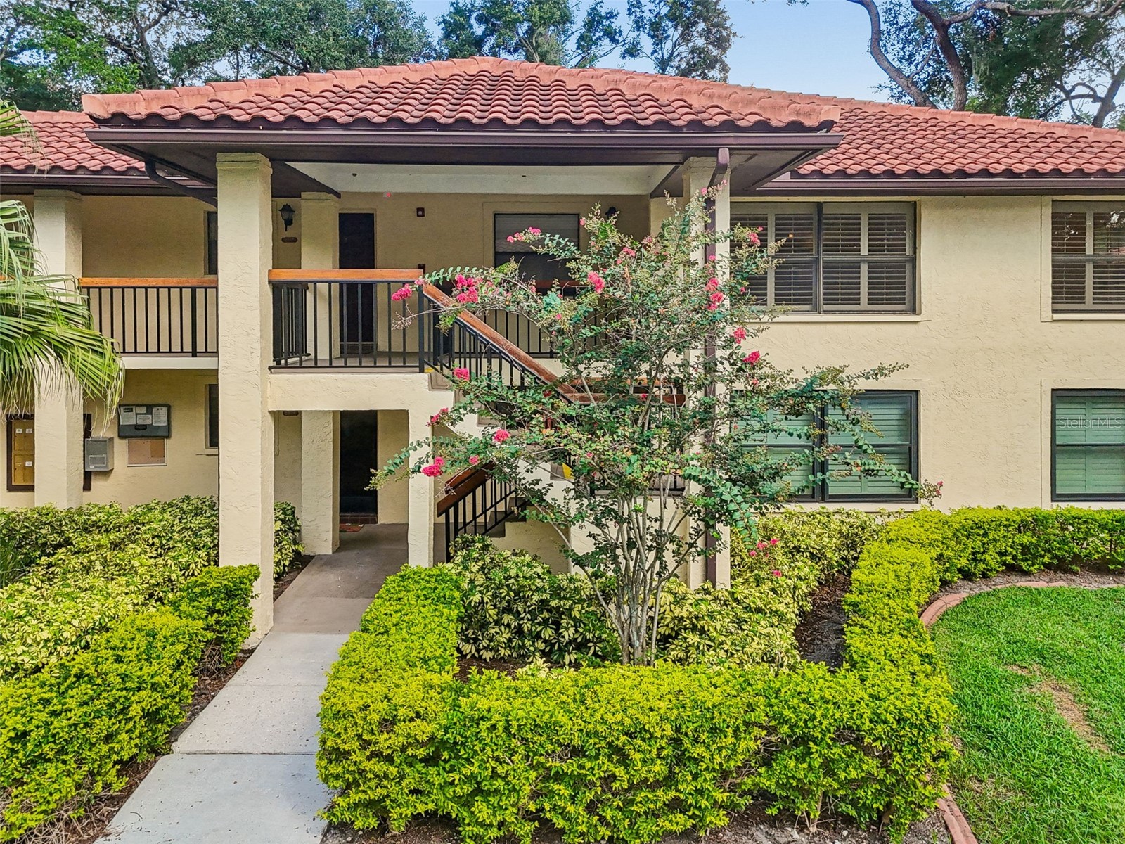 2814 Hammock Court #2814 Clearwater FL 33761 TB8527886 image1