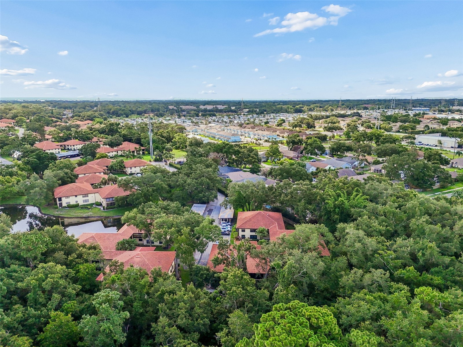 2814 Hammock Court #2814 Clearwater FL 33761 TB8527886 image21
