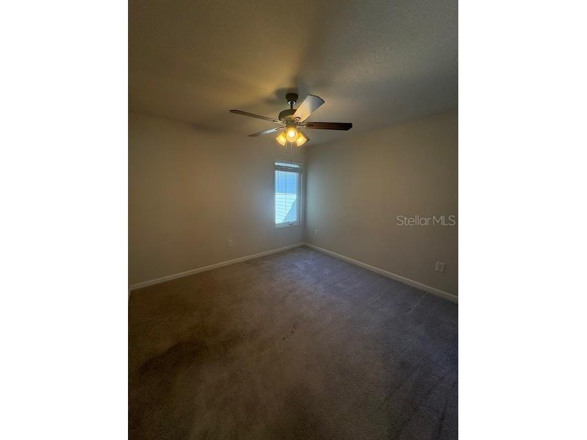 2814 Jacob Crossing Lane Holiday FL 34691 TB8489850 image13
