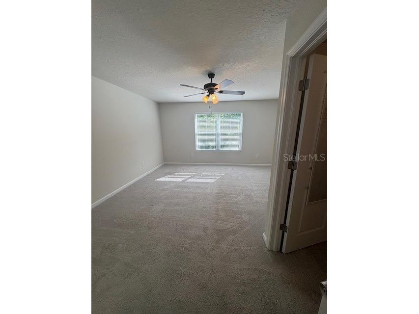 2814 Jacob Crossing Lane Holiday FL 34691 TB8489850 image14