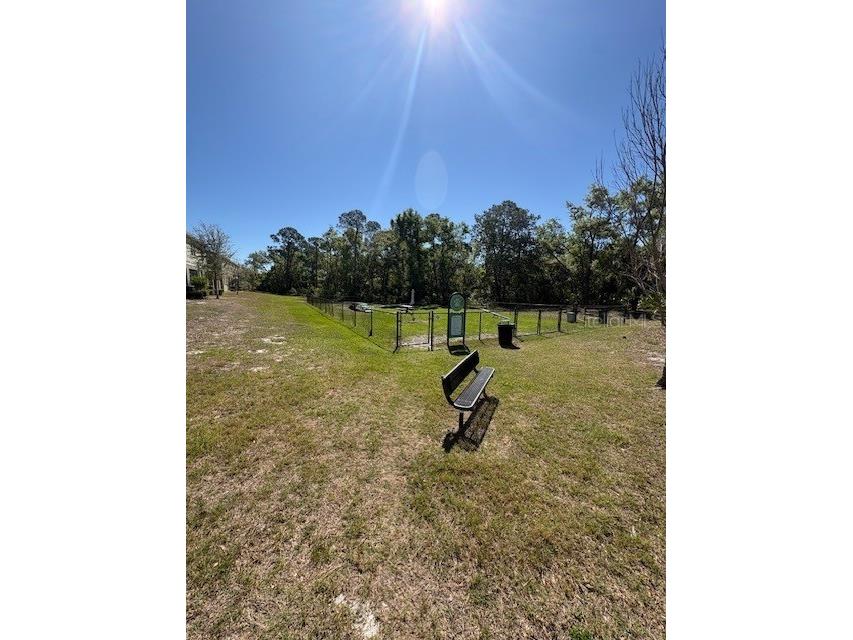 2814 Jacob Crossing Lane Holiday FL 34691 TB8489850 image20