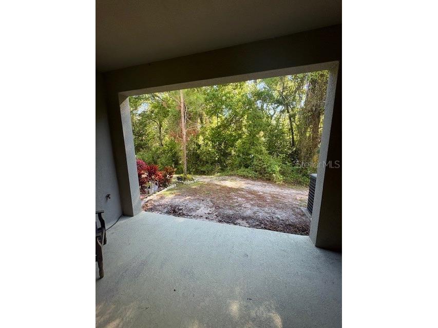2814 Jacob Crossing Lane Holiday FL 34691 TB8489850 image5