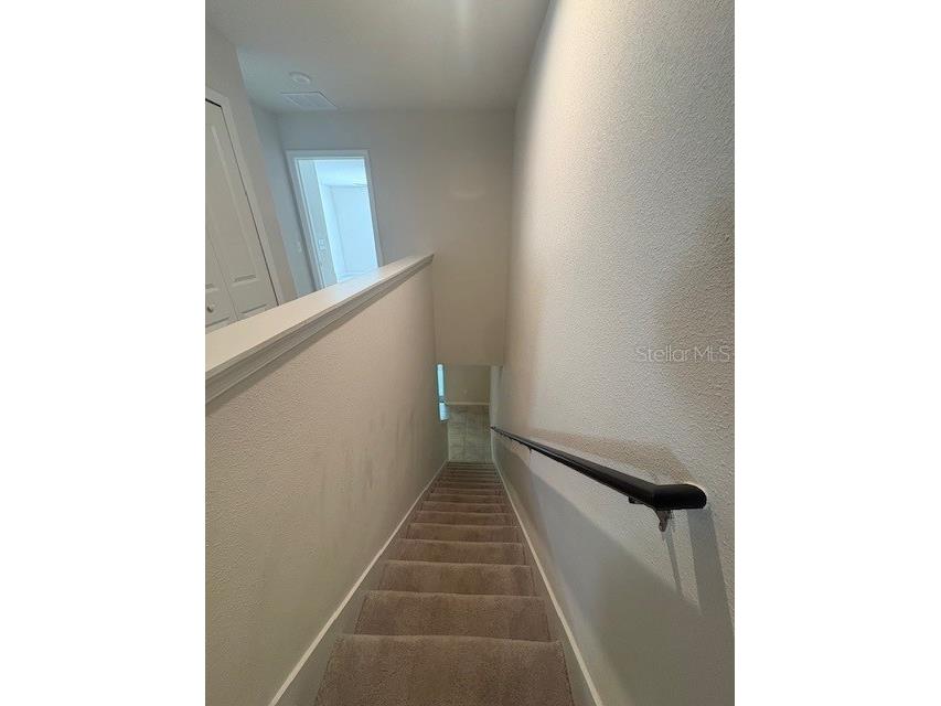 2814 Jacob Crossing Lane Holiday FL 34691 TB8489850 image7