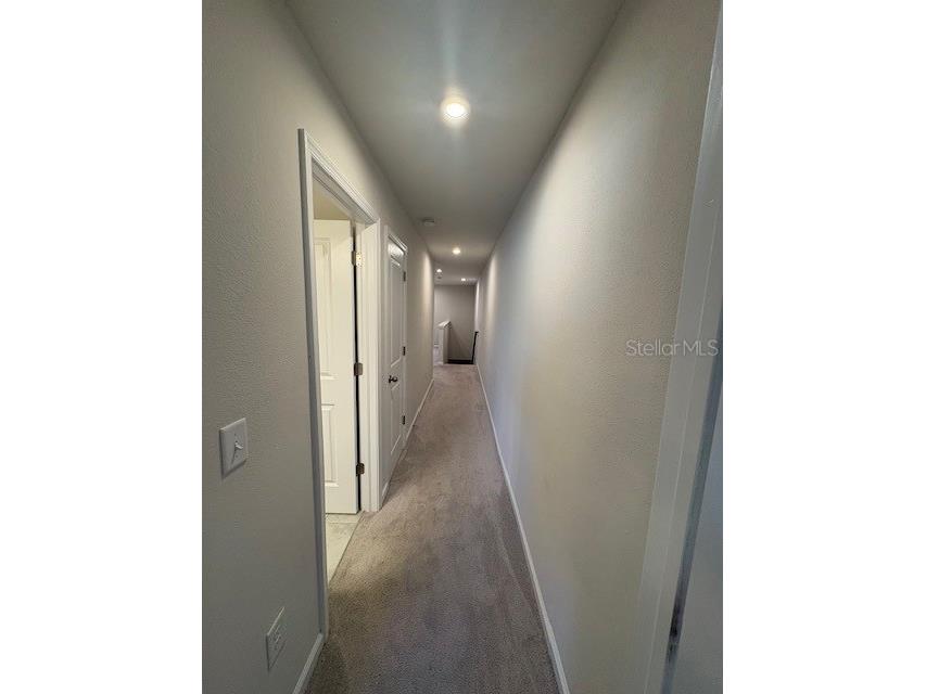 2814 Jacob Crossing Lane Holiday FL 34691 TB8489850 image8