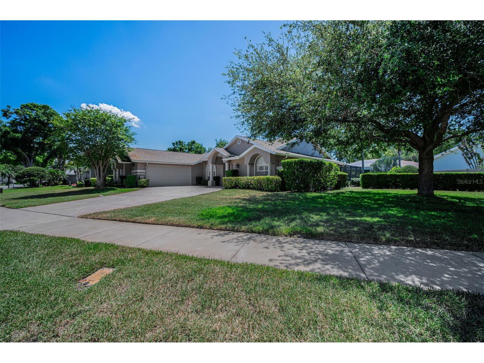 2814 Jarvis Circle Palm Harbor FL 34683 TB8501105 image13