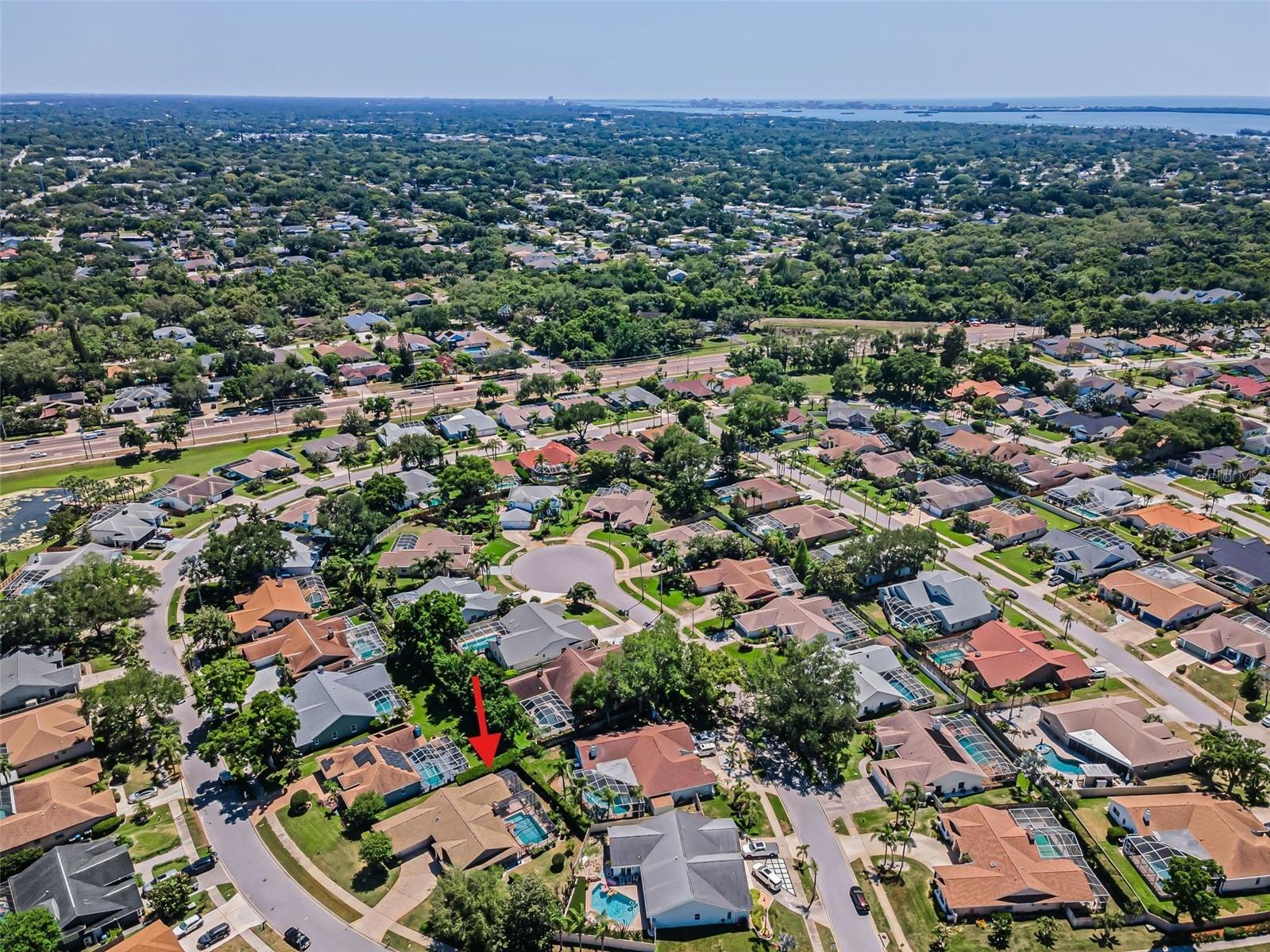 2814 Jarvis Circle Palm Harbor FL 34683 TB8501105 image14