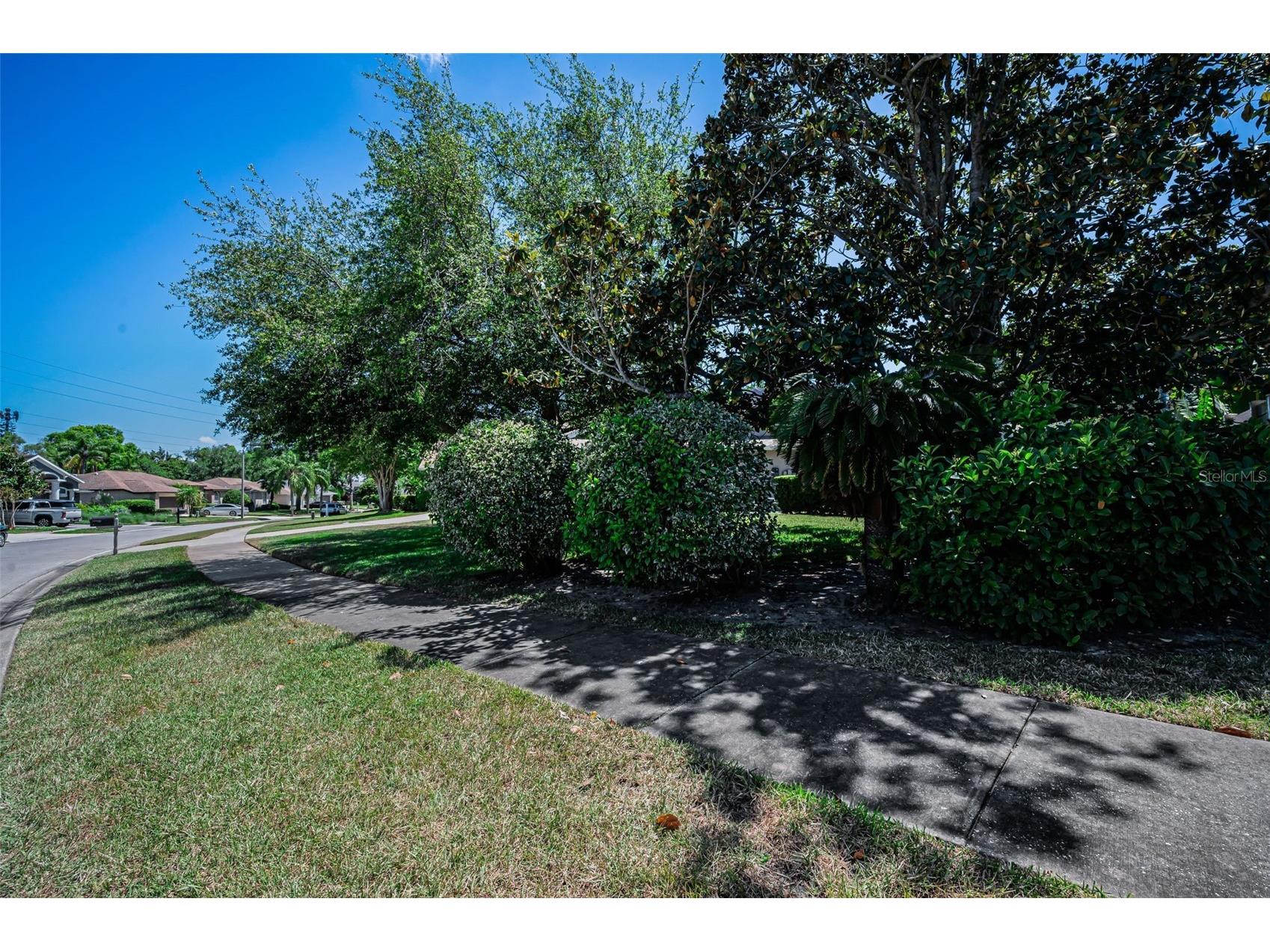 2814 Jarvis Circle Palm Harbor FL 34683 TB8501105 image16