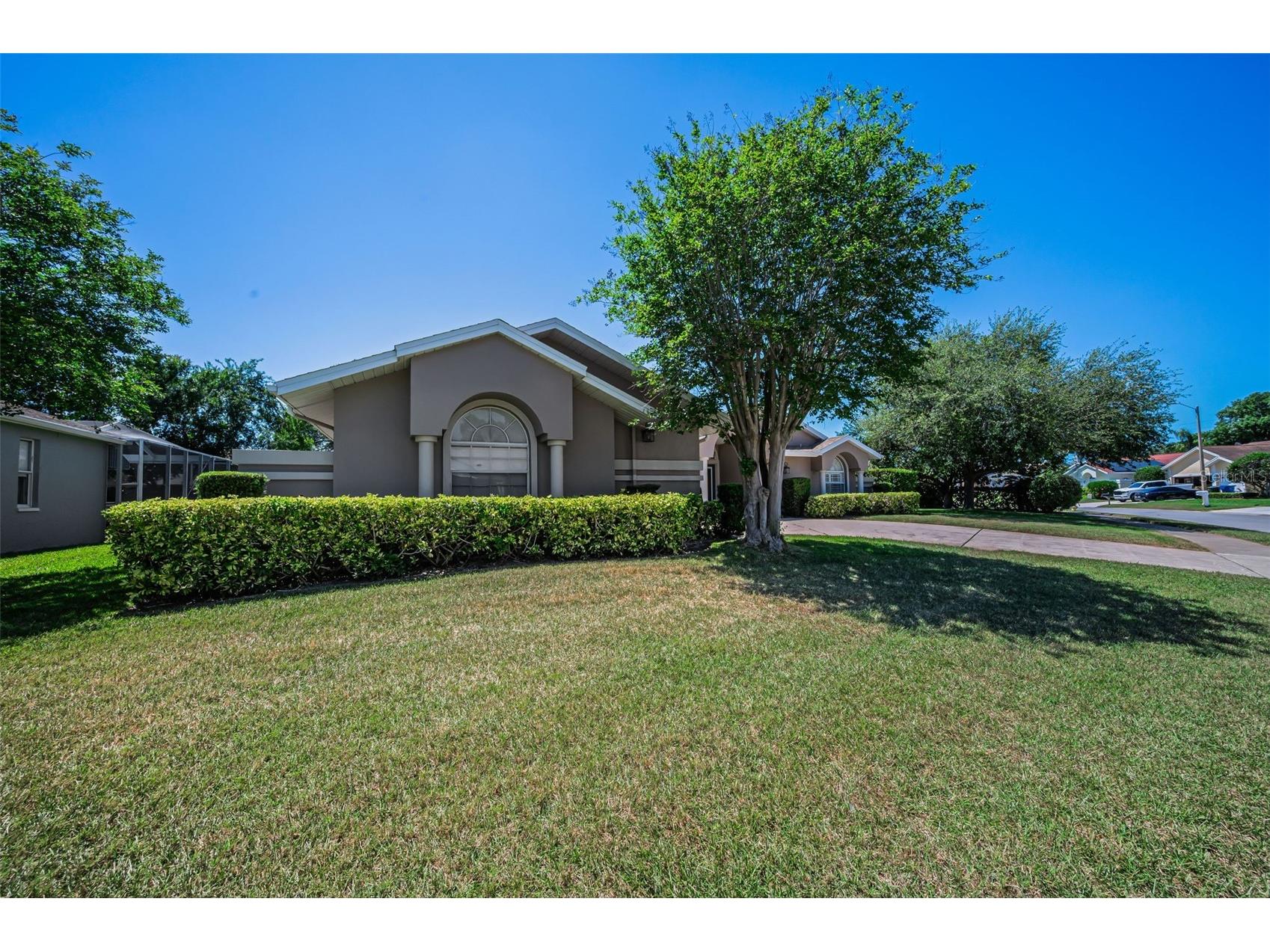 2814 Jarvis Circle Palm Harbor FL 34683 TB8501105 image18