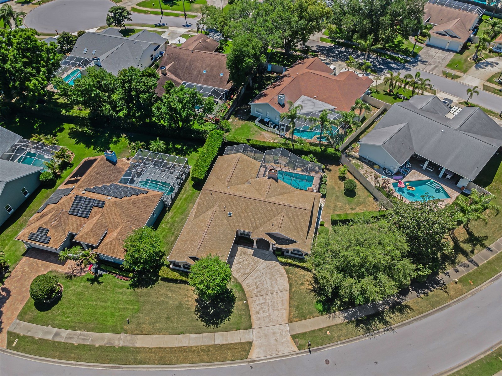 2814 Jarvis Circle Palm Harbor FL 34683 TB8501105 image19