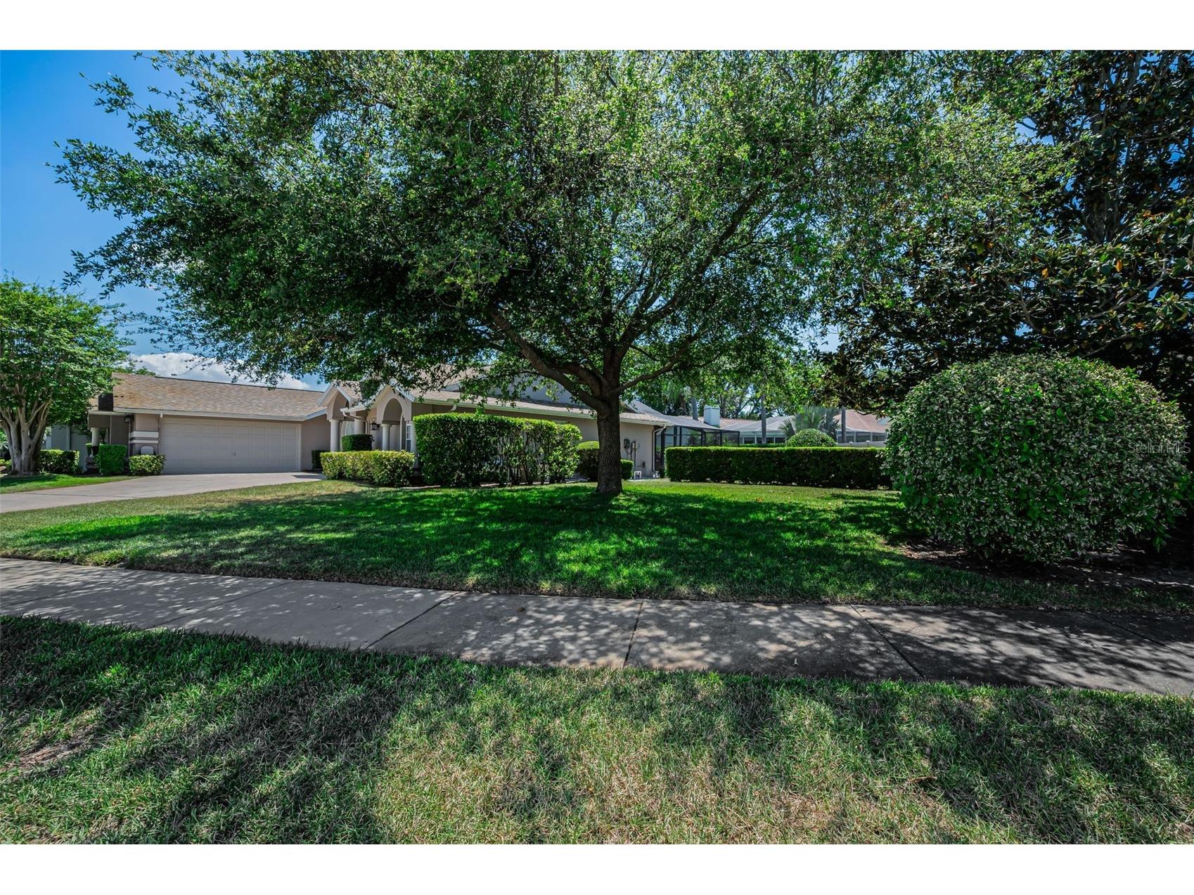 2814 Jarvis Circle Palm Harbor FL 34683 TB8501105 image21