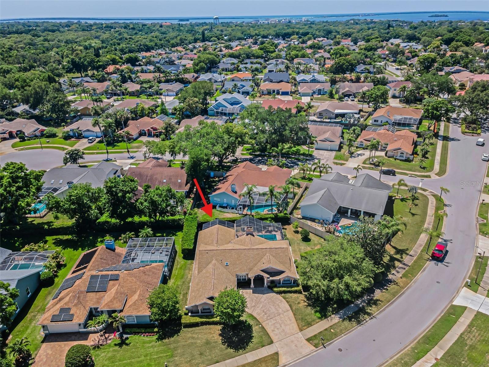 2814 Jarvis Circle Palm Harbor FL 34683 TB8501105 image8