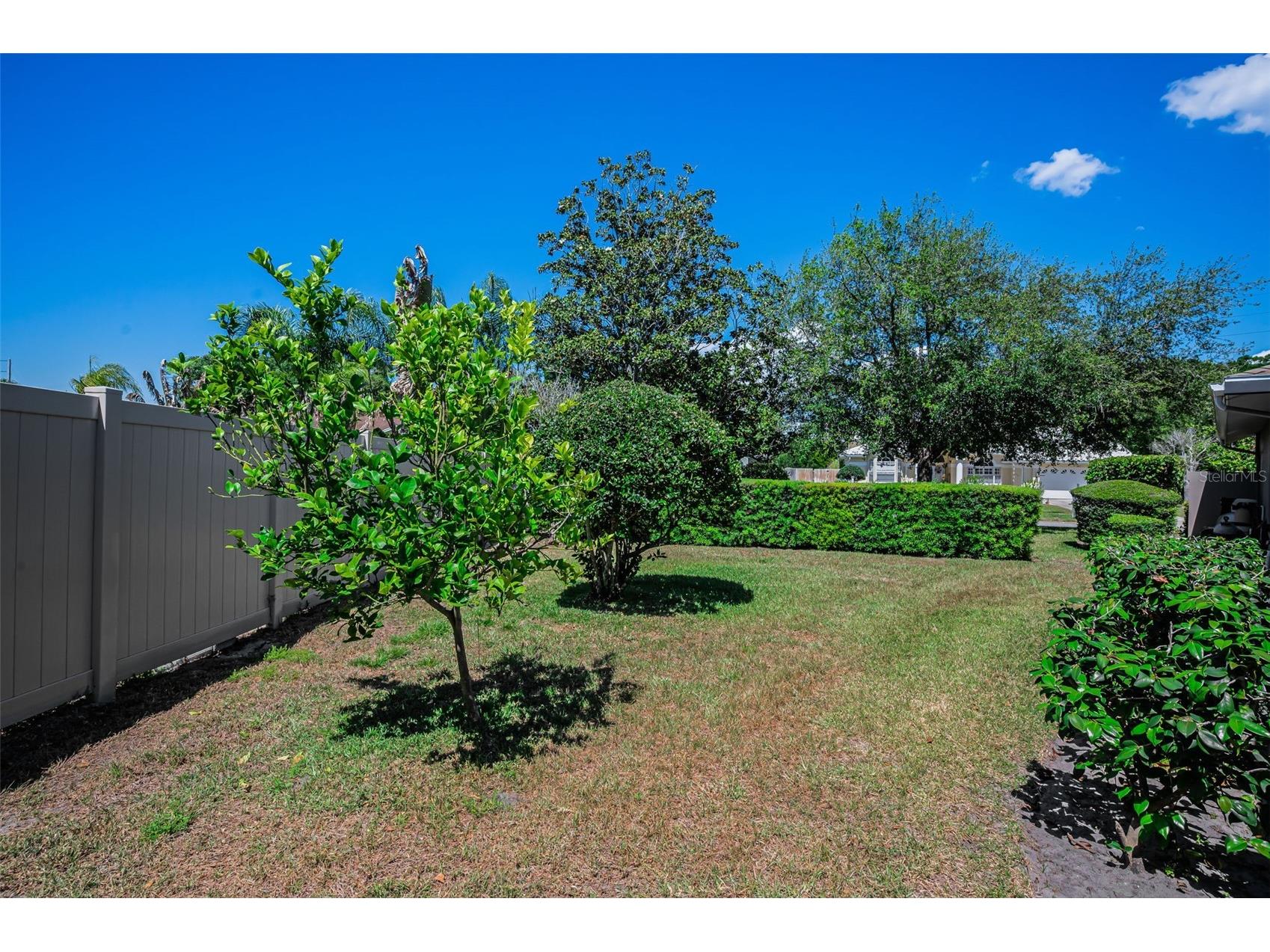 2814 Jarvis Circle Palm Harbor FL 34683 TB8501105 image82