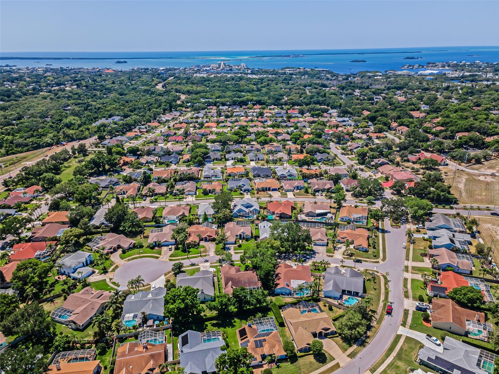 2814 Jarvis Circle Palm Harbor FL 34683 TB8501105 image85