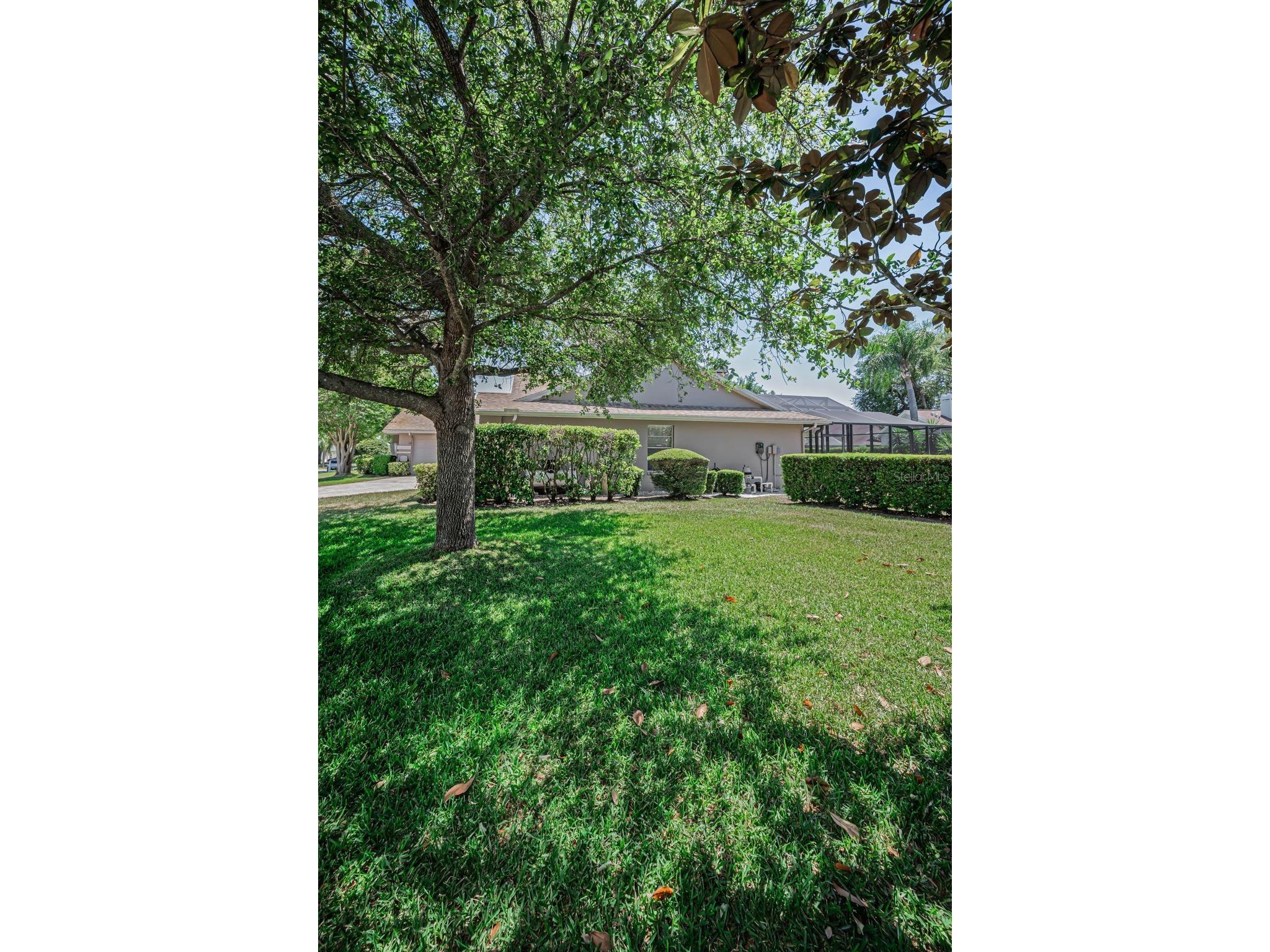 2814 Jarvis Circle Palm Harbor FL 34683 TB8501105 image87