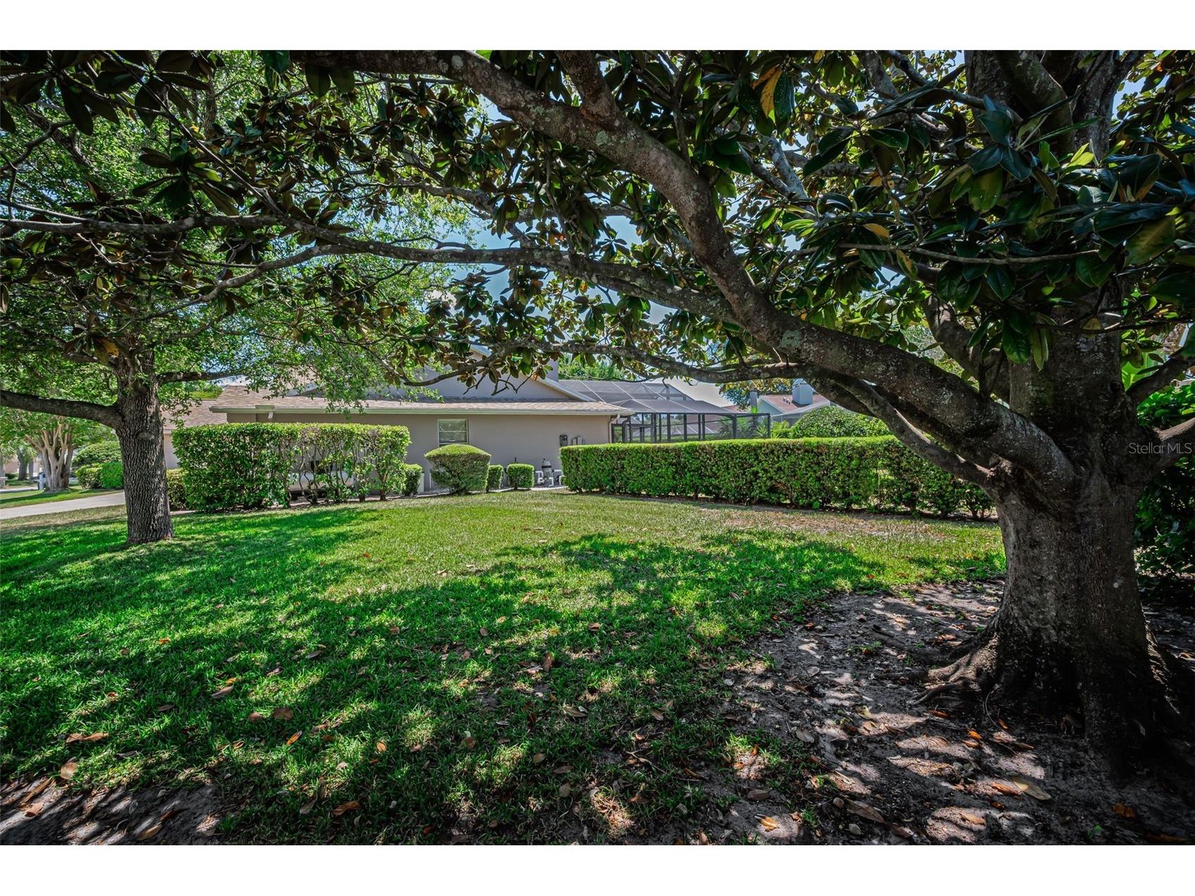 2814 Jarvis Circle Palm Harbor FL 34683 TB8501105 image89