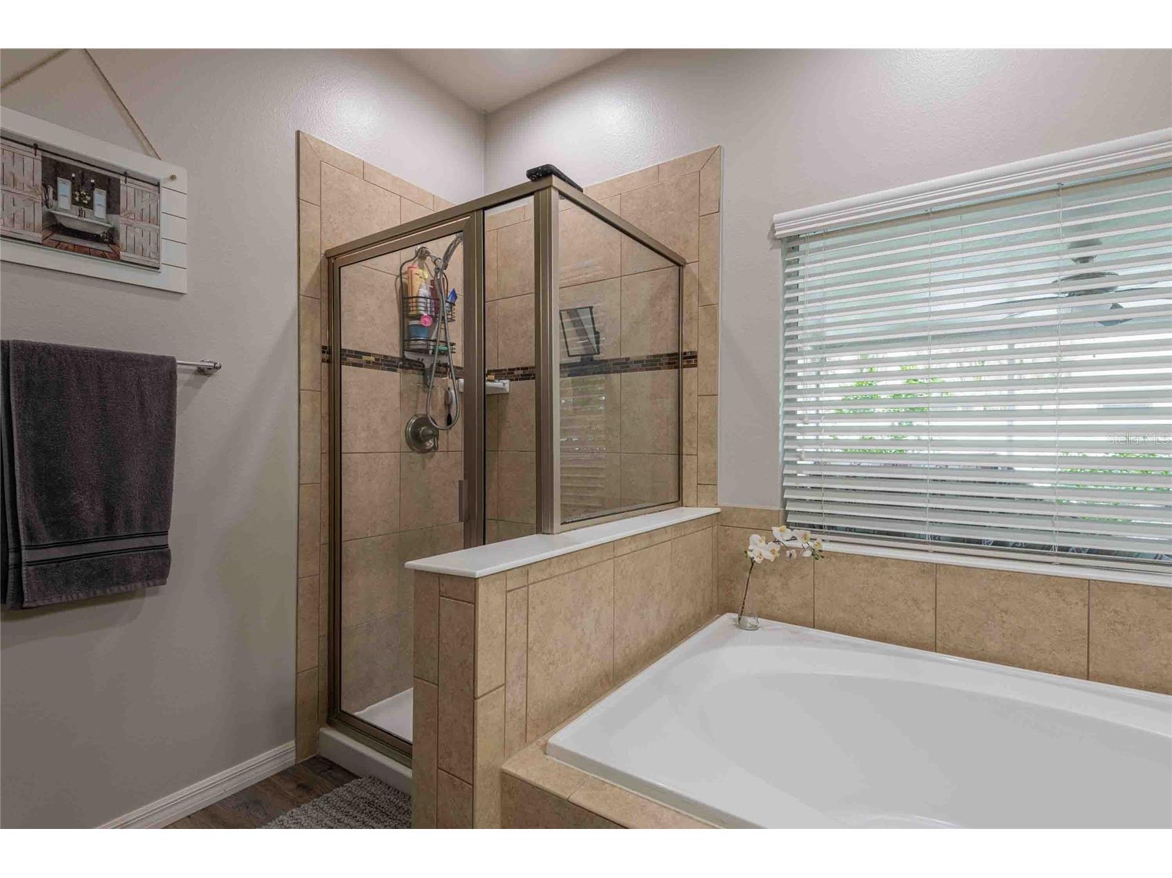 2814 Maple Brook Loop Lutz FL 33558 TB8487094 image15