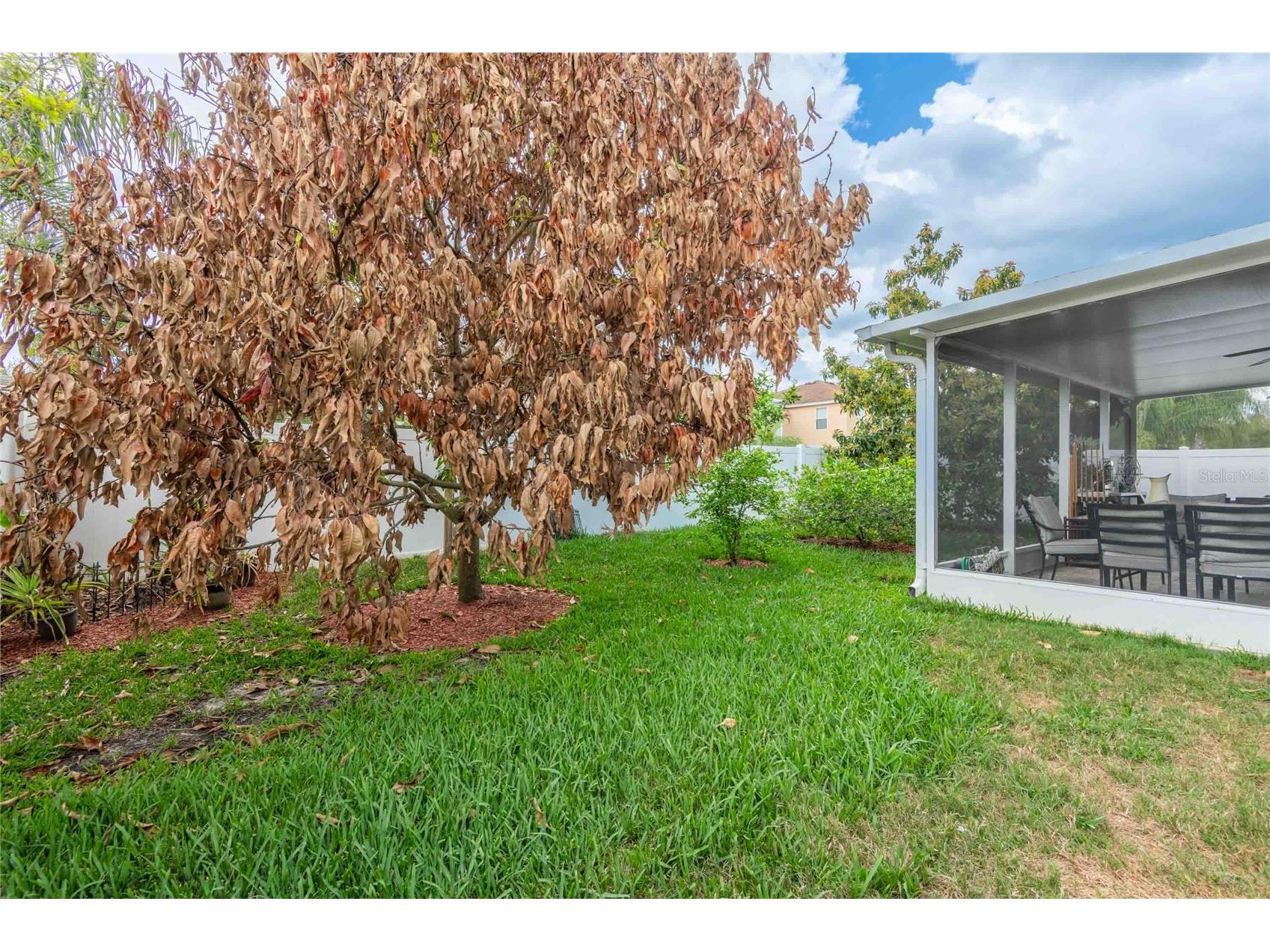 2814 Maple Brook Loop Lutz FL 33558 TB8487094 image25