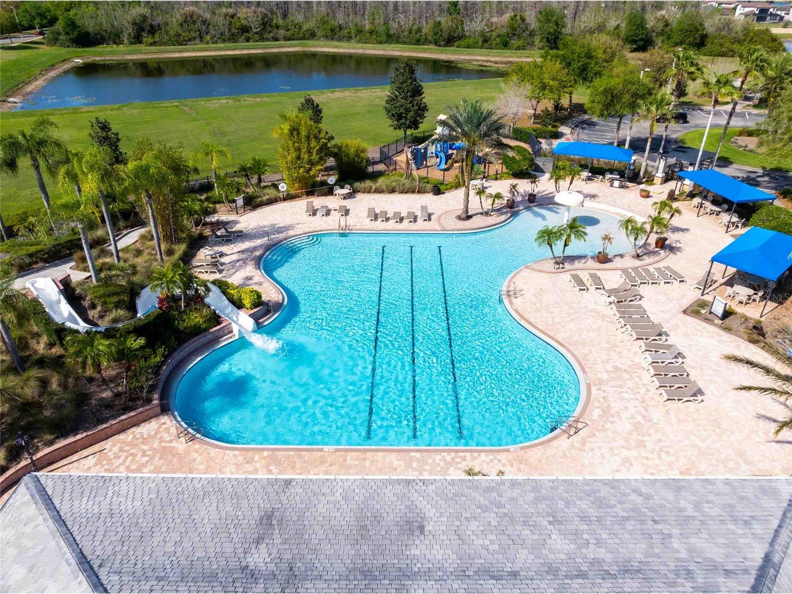 2814 Maple Brook Loop Lutz FL 33558 TB8487094 image27