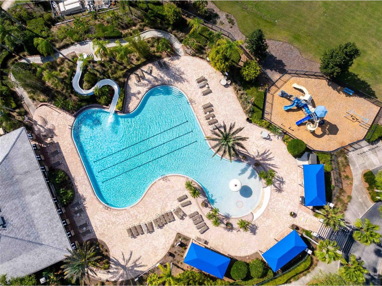 2814 Maple Brook Loop Lutz FL 33558 TB8487094 image31