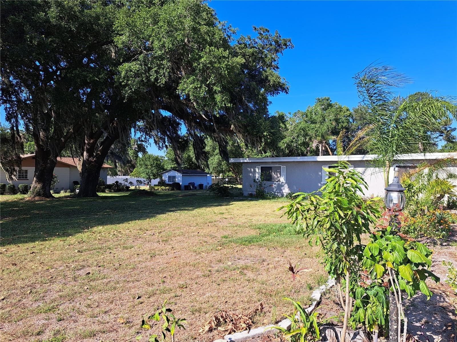 2814 N Maryland Avenue Plant City FL 33563 TB8479253 image2