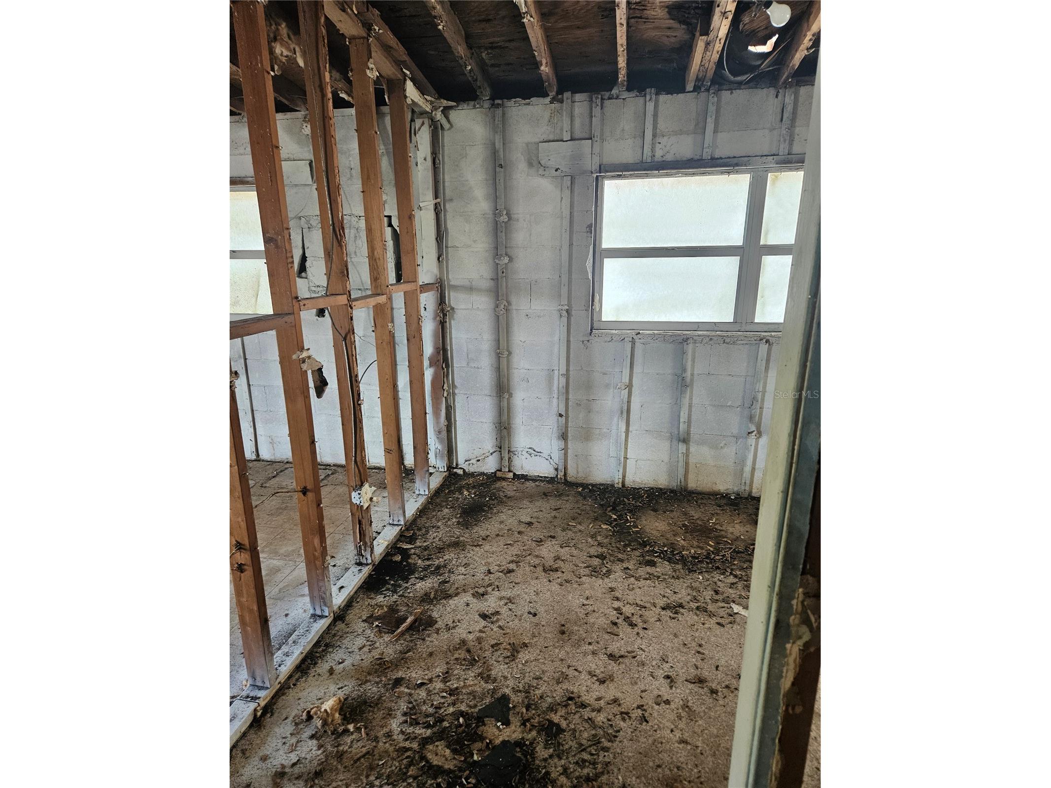2814 Palmadelia Avenue Sarasota FL 34234 A4692842 image7