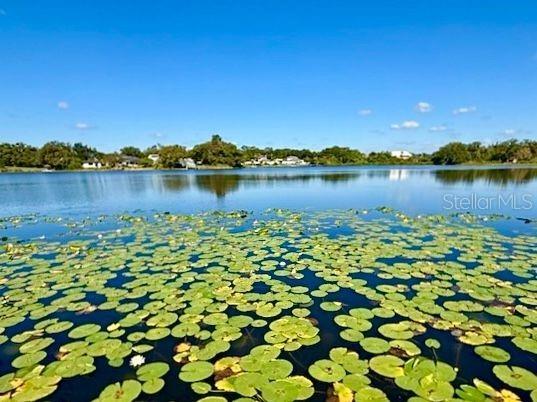 2814 W Humphrey Street Tampa FL 33614 TB8465409 image1