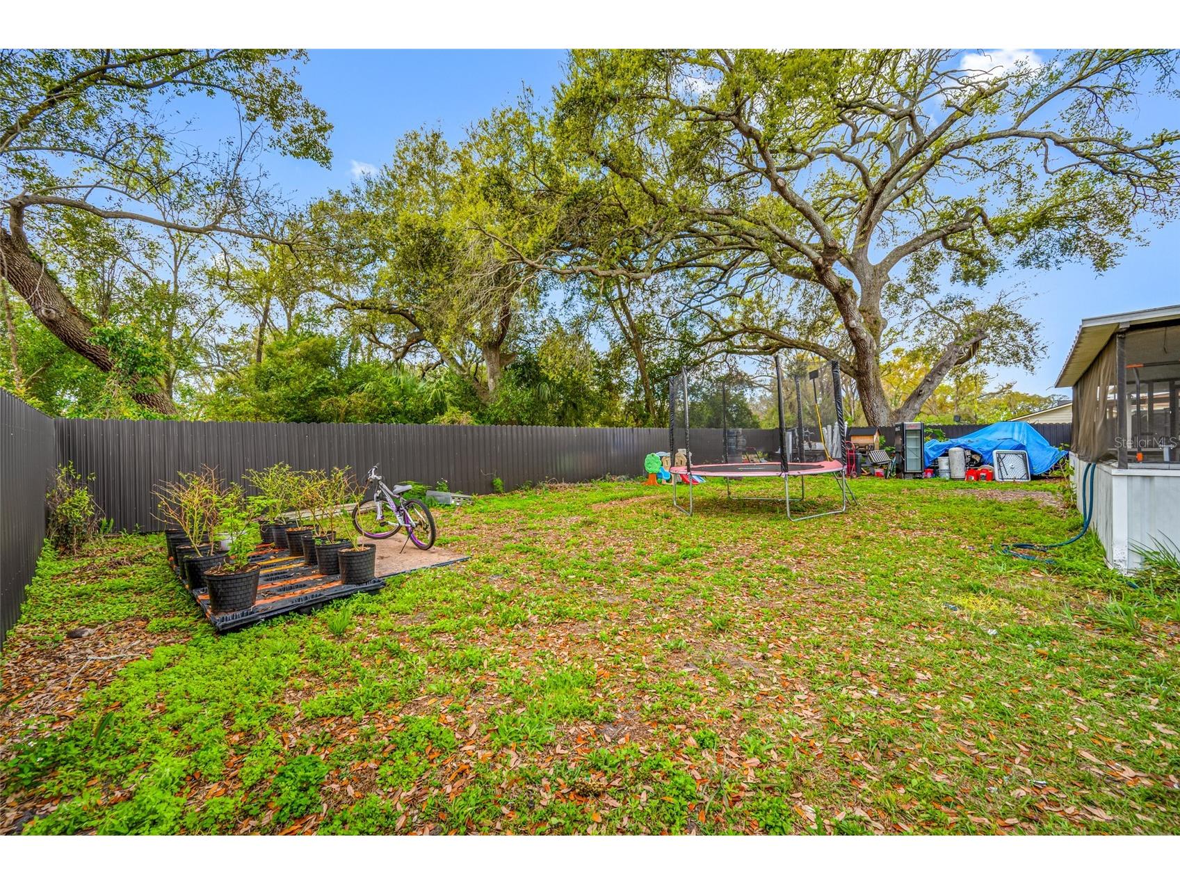 2814 W Powhatan Avenue Tampa FL 33614 TB8484350 image49