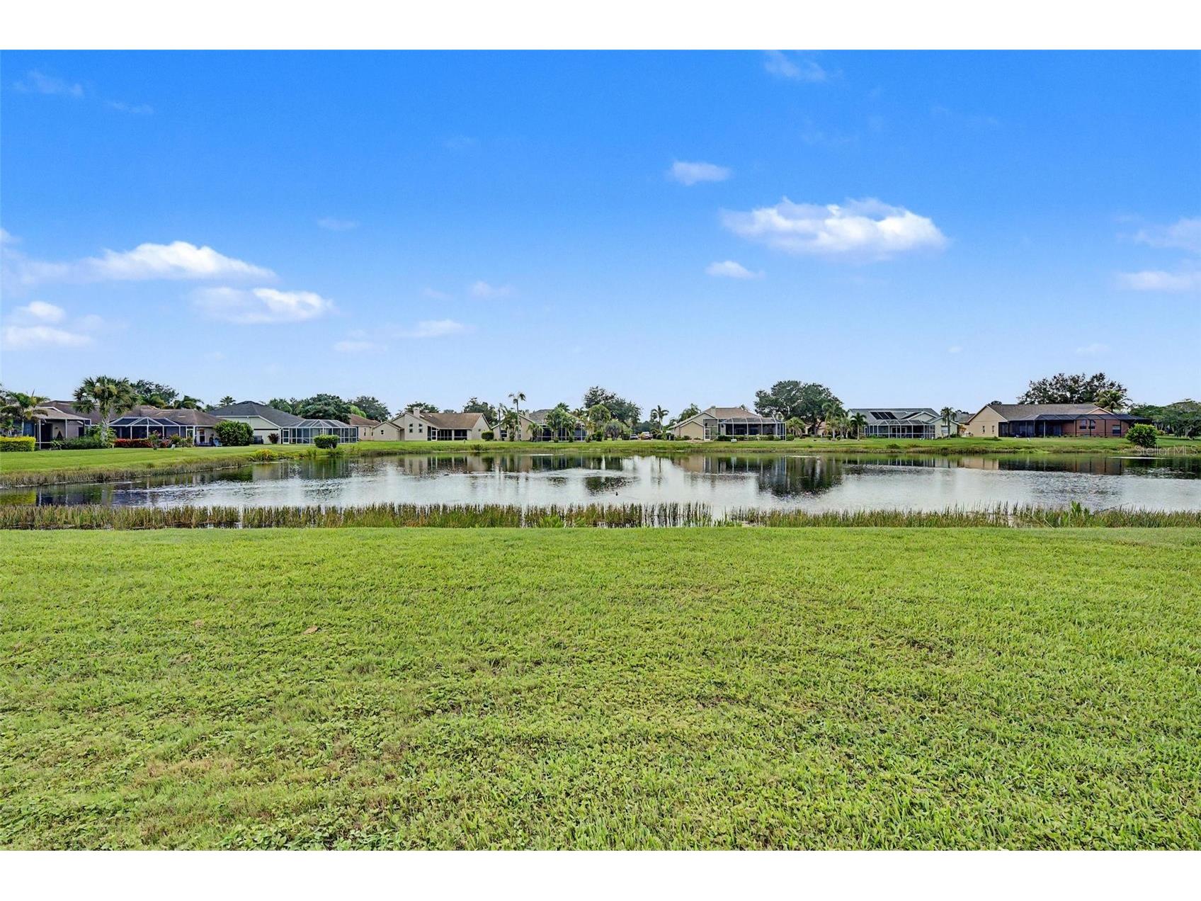 2815 89th Avenue E Parrish FL 34219 TB8532177 image49