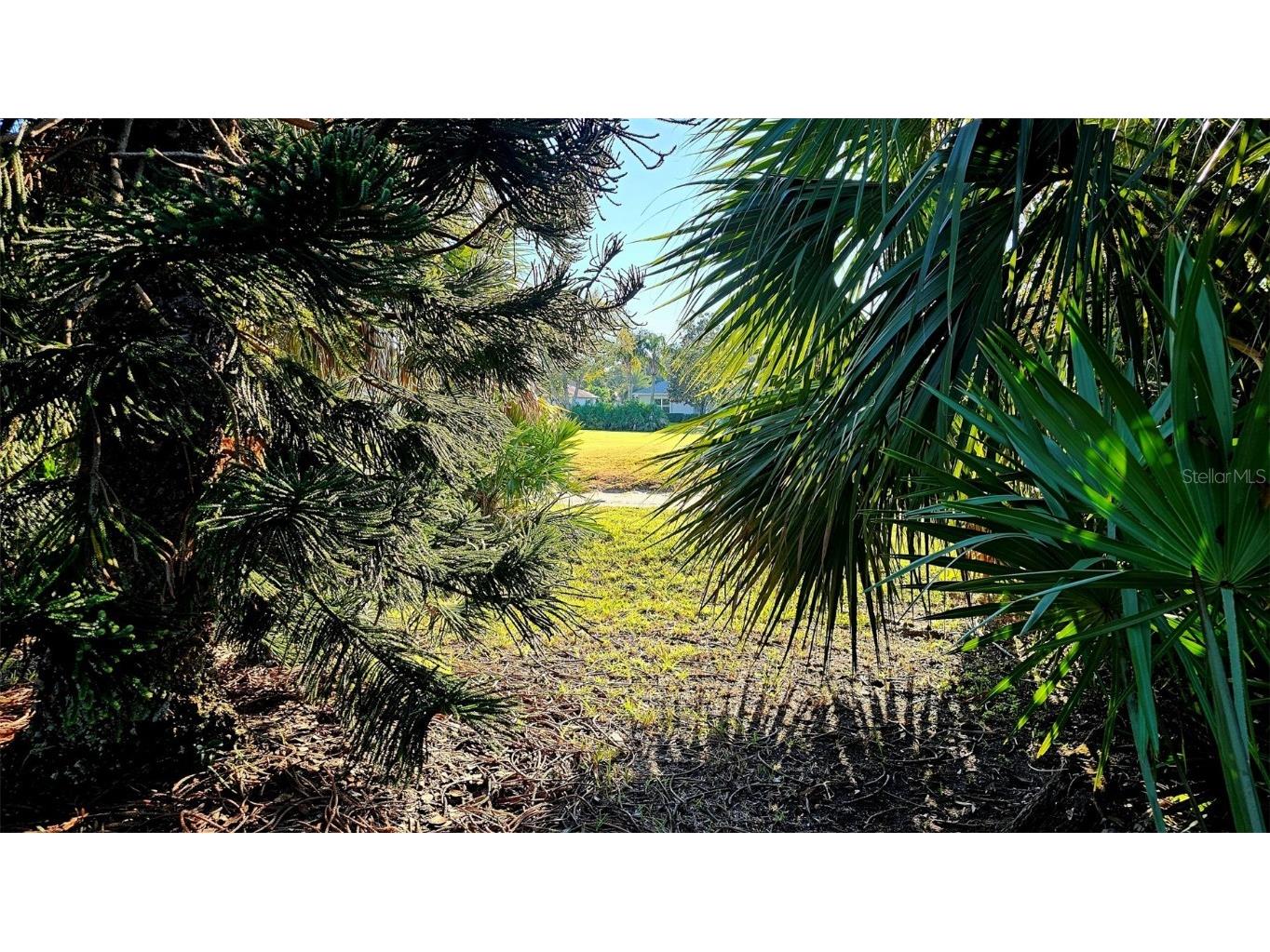 2815 Bay Side Drive New Smyrna Beach FL 32168 NS1086555 image64