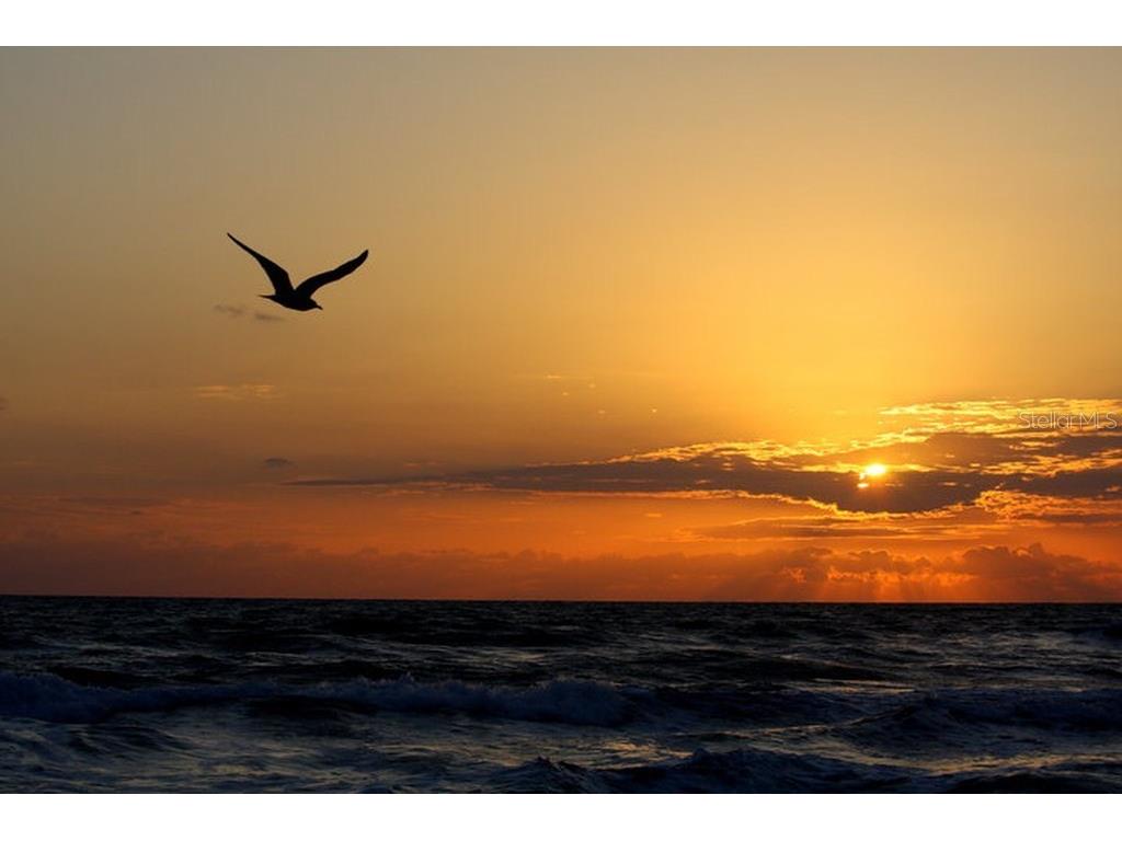 2815 Bay Side Drive New Smyrna Beach FL 32168 NS1086555 image82