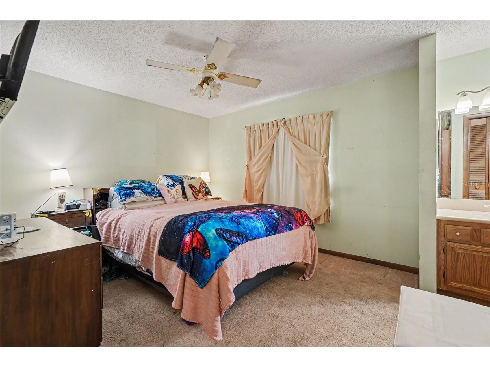 2815 Linden Tree Street Seffner FL 33584 TB8523802 image16