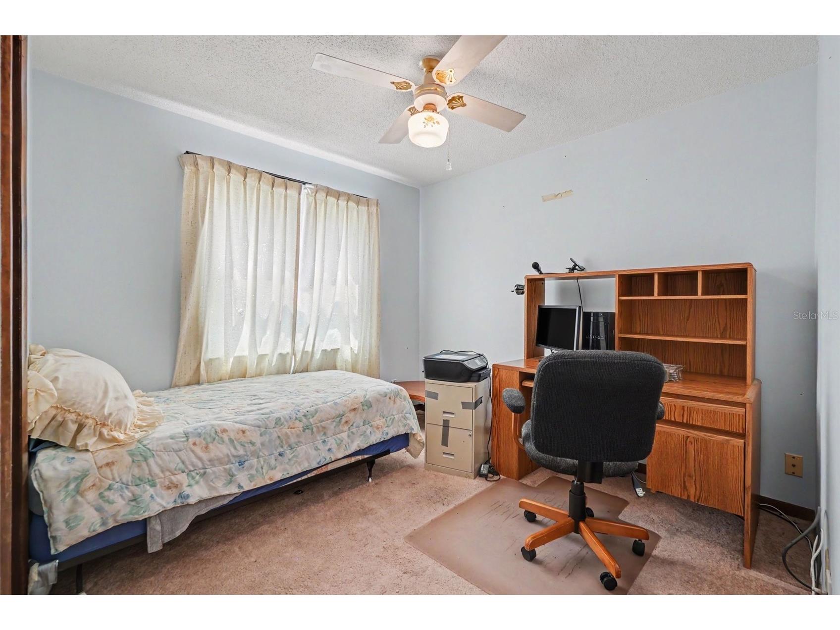 2815 Linden Tree Street Seffner FL 33584 TB8523802 image20