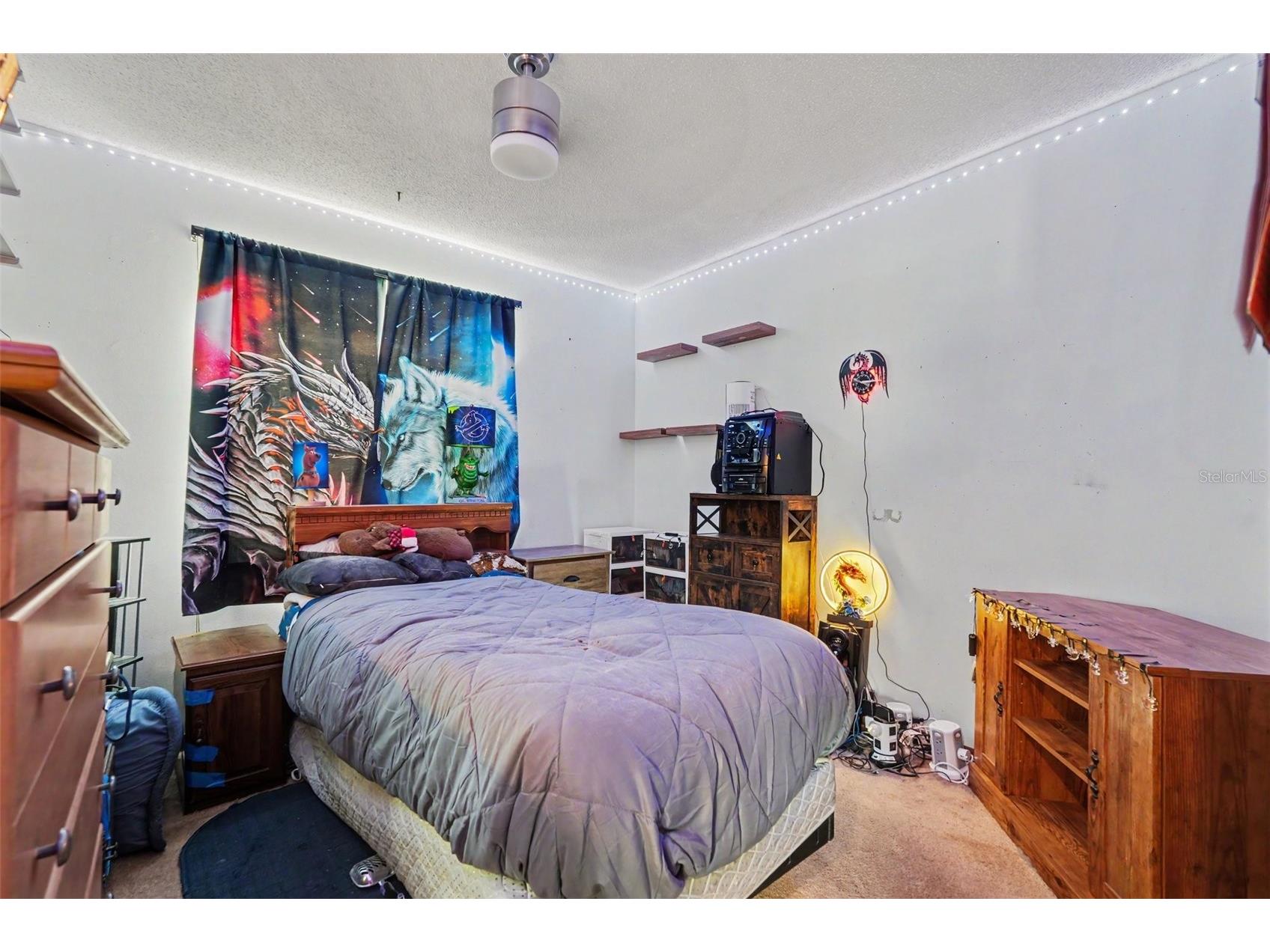 2815 Linden Tree Street Seffner FL 33584 TB8523802 image21