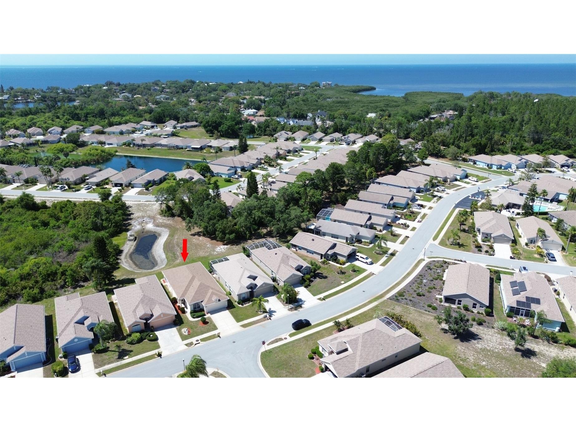 2815 Wood Pointe Drive Holiday FL 34691 TB8499477 image4