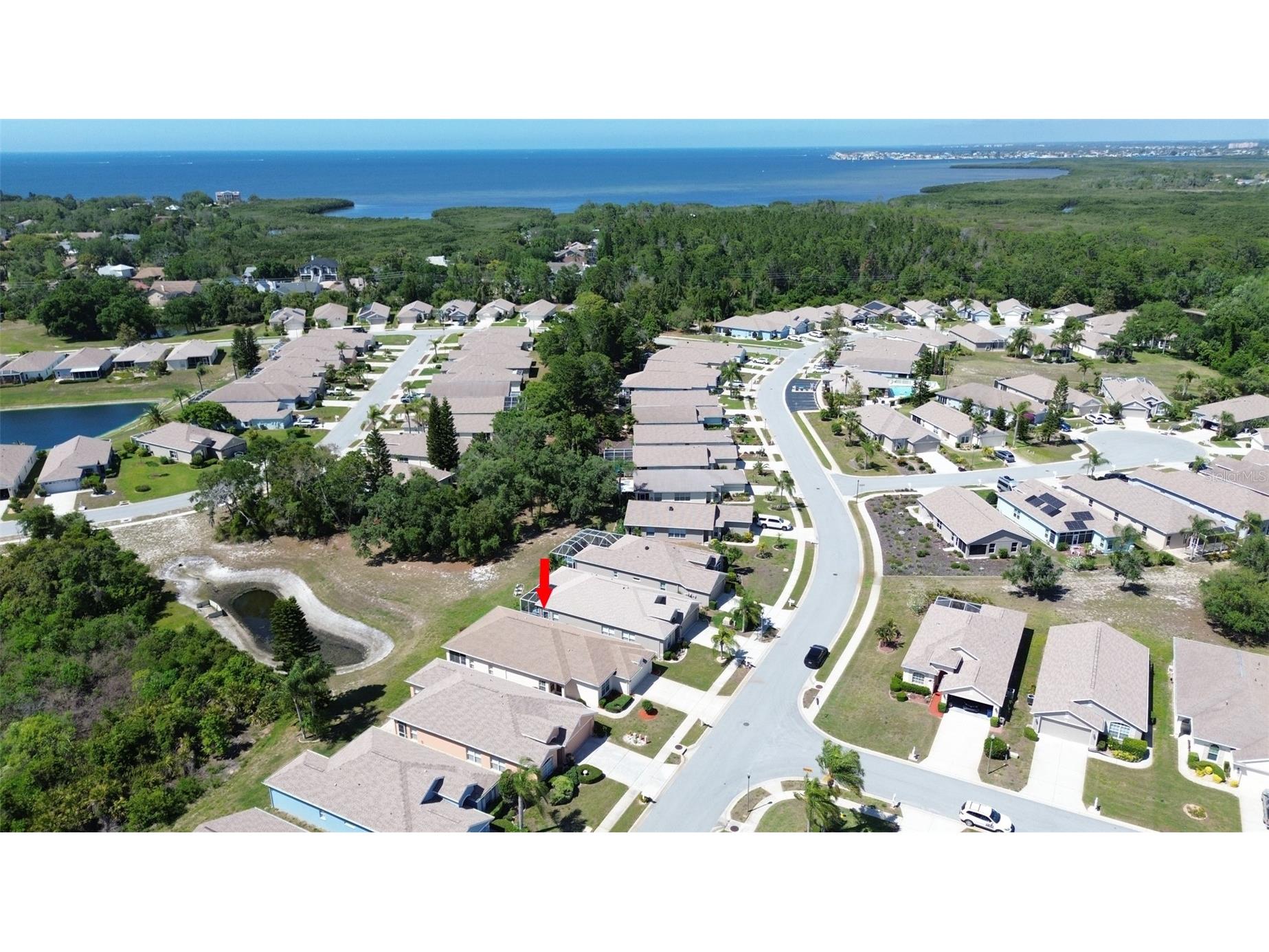 2815 Wood Pointe Drive Holiday FL 34691 TB8499477 image5