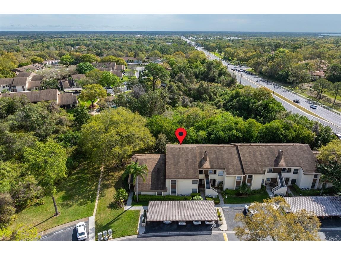 2816 Countrybrook Drive #12 Palm Harbor FL 34684 U8233760 image1