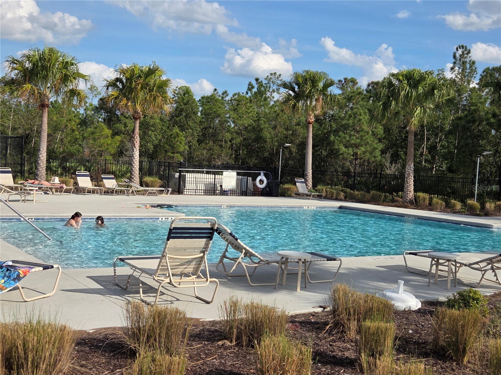 2816 Neverland Drive New Smyrna Beach FL 32168 S5144499 image5