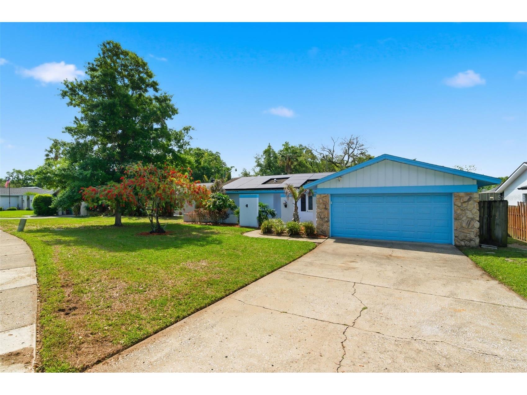 2816 Rustic Oaks Drive Palm Harbor FL 34684 W7884575 image3