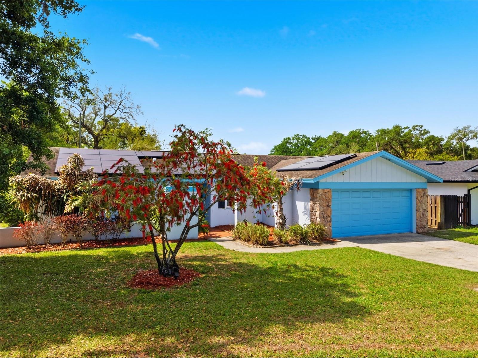 2816 Rustic Oaks Drive Palm Harbor FL 34684 W7884575 image54