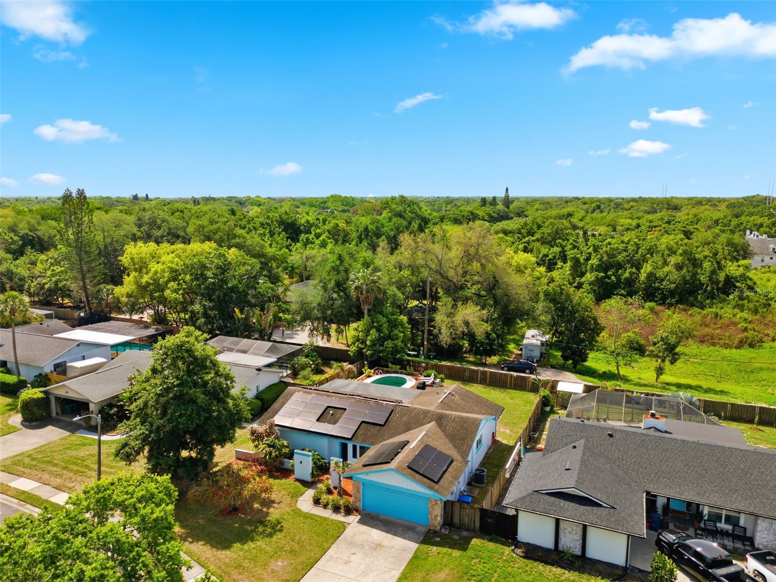 2816 Rustic Oaks Drive Palm Harbor FL 34684 W7884575 image57