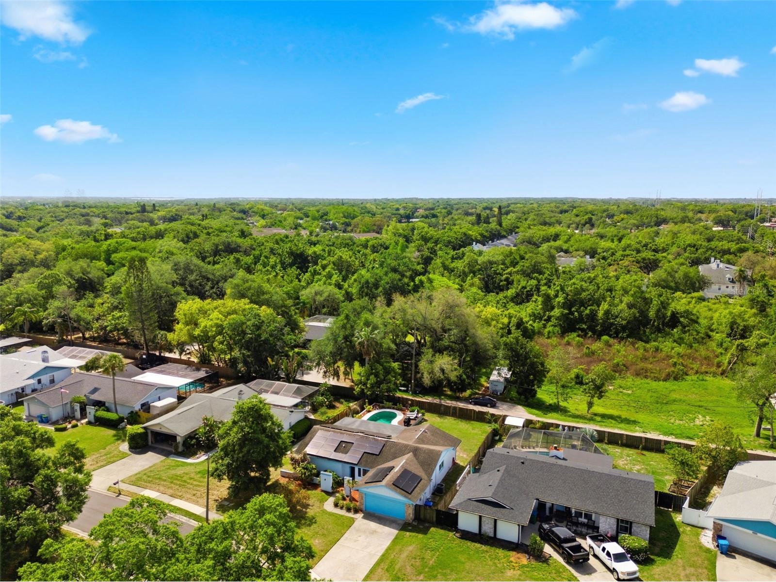 2816 Rustic Oaks Drive Palm Harbor FL 34684 W7884575 image58